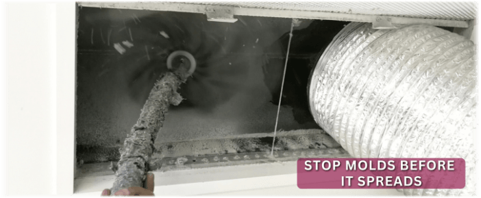 Air Duct Mold Removal in Rosenberg TX