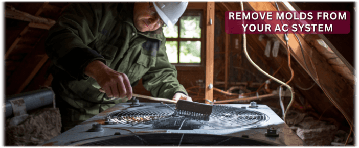 HVAC Mold Removal Rosenberg TX